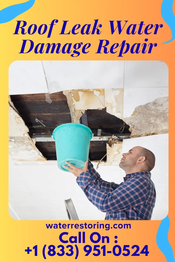 Roof Leak Water Damage Repair in Gowanda, NY