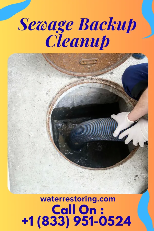 Sewage Backup Cleanup in Gowanda, NY