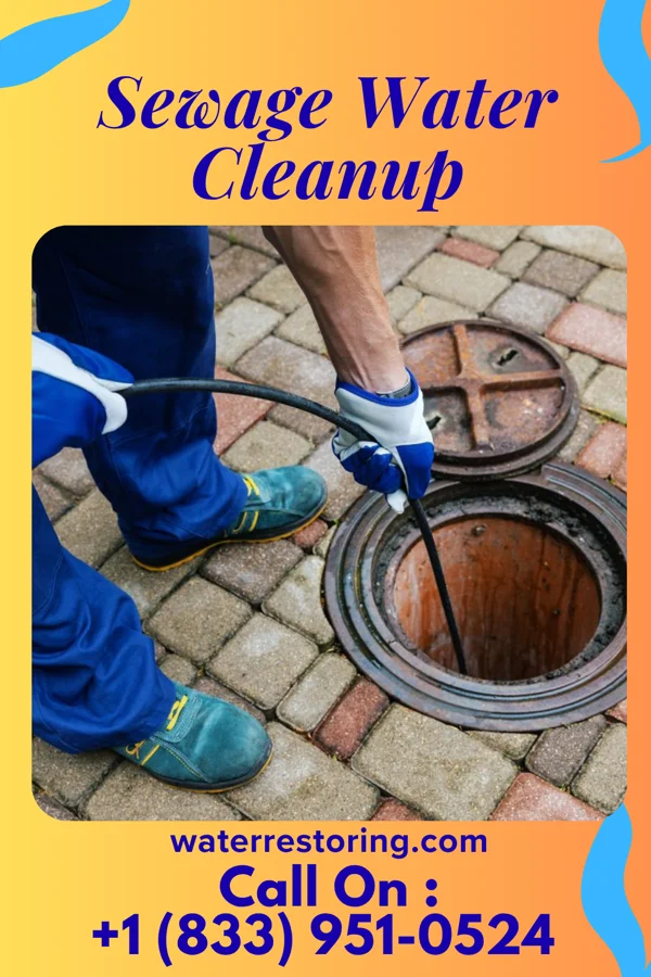 Sewage Water Cleanup in Gowanda, NY